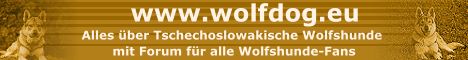 www.wolfdog.eu - Alles �ber Tschechoslowakische Wolfshunde mit Forum f�r alle Wolfshunde-Fans 